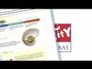 Qs & AAAs Qs & AAAs