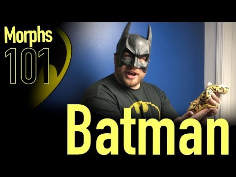 YouTube reptile video