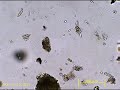 20091018動画81_enhanced.wmv