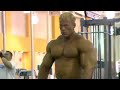Dennis Wolf Training Dennis Wolf Training