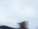 BARILOCHE 2007. Cerro L�pez.