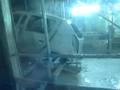 Production of Dacia Sandero