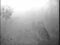 Ice Fishing - Jigging Sunfish/Bluegill Ice Fishing - Jigging Sunfish/Bluegill