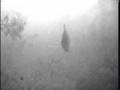Ice Fishing - Jigging Sunfish/Bluegill