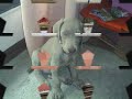 Ela \"una weimaraner magica\" Ela \"una weimaraner magica\"