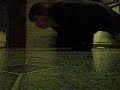 me doing a handspin me doing a handspin