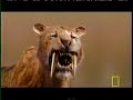 Smilodon Fatalis Part 3