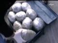 265 kilogram esrar ele geçirildi