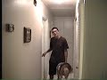 the doll a scary story special
