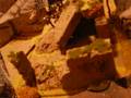 videos de war games terrain