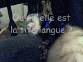 La berceuse d\