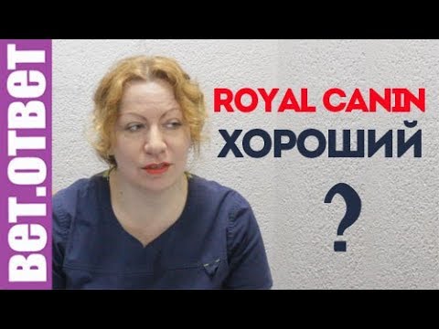 Что не так с кормом Роял Канин, ответы ветеринара. ВетОтвет.