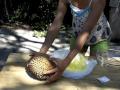 The Raw Lifestyle & Raw Food Diet: Durian!!!