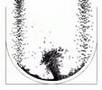 Pseudo-fluids in Chipmunk Playground