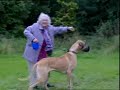 dog-woman