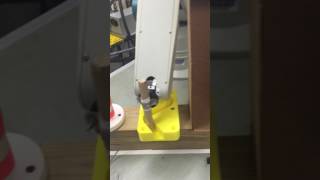 Control of a Serial Link Robot