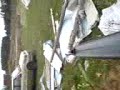 MOV00502.3GP