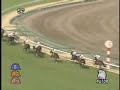 2008　サンシャインＳ　ホクトスルタン
