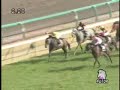 2008　サンシャインＳ　ホクトスルタン