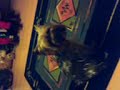 MOV00041