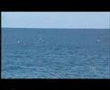 CETO Wave Power