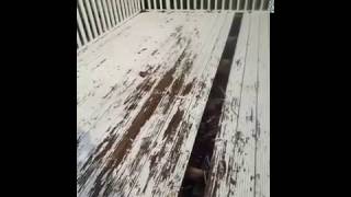 Decking-rescue-paint