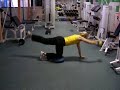 back training on agility disc