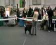 16 march Riga, Lativa 2008 Winner Show