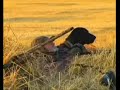 Duck & Goose Hunting,Peace Country, Alberta Duck & Goose Hunting,Peace Country, Alberta