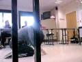 videos de Popo.mp4
