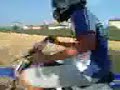 crash polini crash polini
