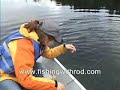 Girls Gone Fishing! Girls Gone Fishing!