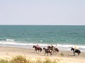 Surfside-Garden City Beach Surfside-Garden City Beach