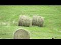 A Day At The Buckland Part 1