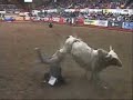 Dodge Xtreme Bulls Tour (Rapid City, 2008) Dodge Xtreme Bulls Tour (Rapid City, 2008)