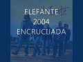 elefante encrucijada