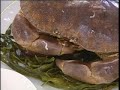 Le Breton Gourmand: 