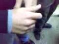 videos de queda do carballo.wmv