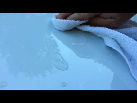 how to get tree sap off car