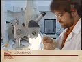 CSIC: Reintroducción de la gacela dorcas saharaui en Senegal
