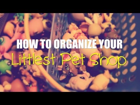how to organize vinyl records