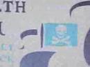 Pirates of the Health Care-ibbean