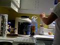 August 16 - Another Good Morning Shake !