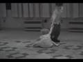  - MovieZen Video