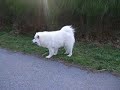 DSCN2583.MOV