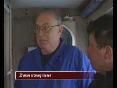 terry mcgeechan racing pigeons scunthorpe - simply the best 2009