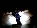 Pip and Poppi's Forst Sleepover