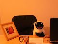 Game Petwork 2