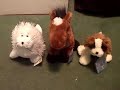 Webkinz Seal, Arabian horse, and lil kinz St. Bernard Webkinz Seal, Arabian horse, and lil kinz St. Bernard