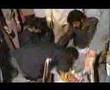 25 years after being martyred fresh body!!!